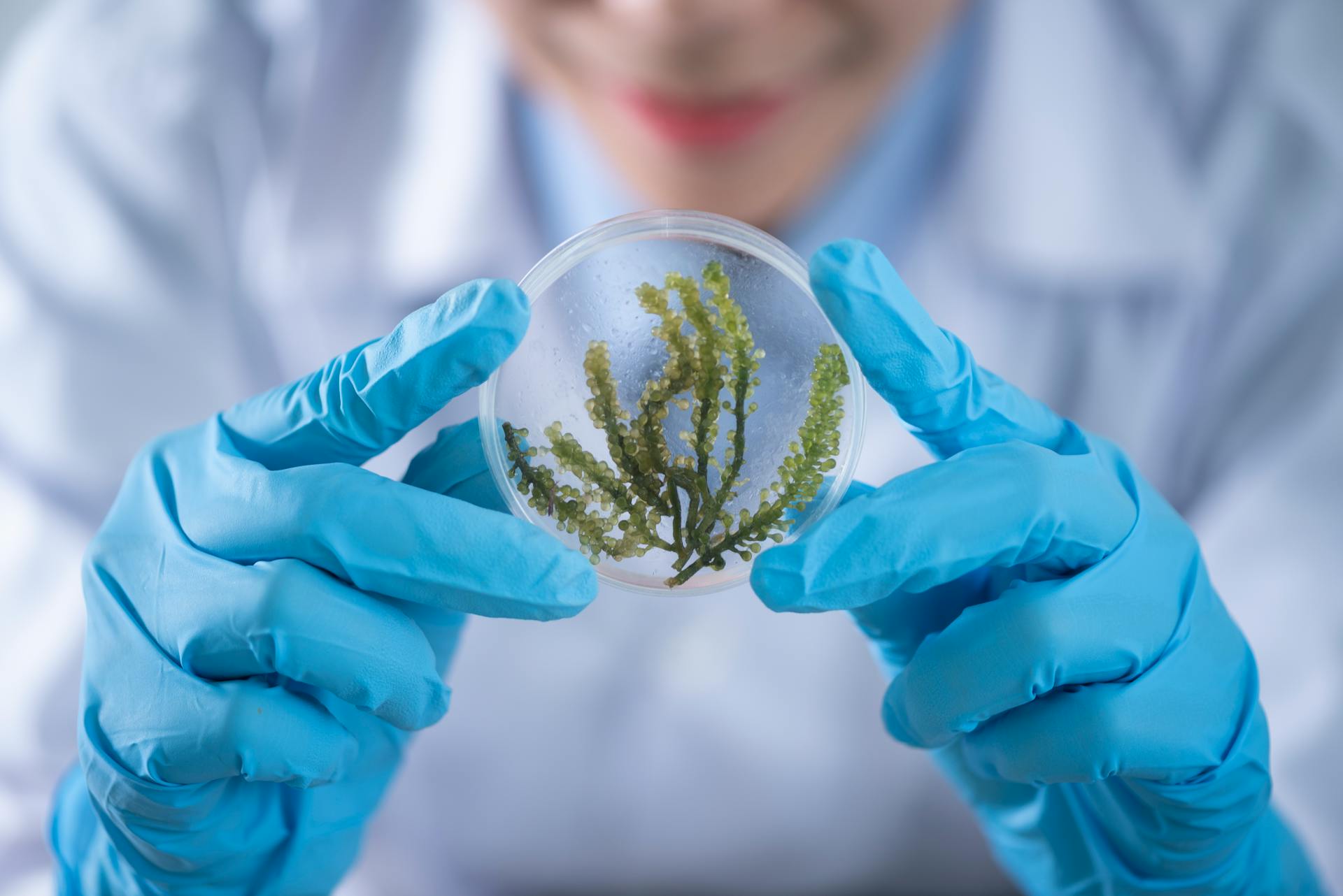 ¿CUALES SON LOS DESAFÍOS DE LA CIENCIA EN LA ACTUALIDAD?